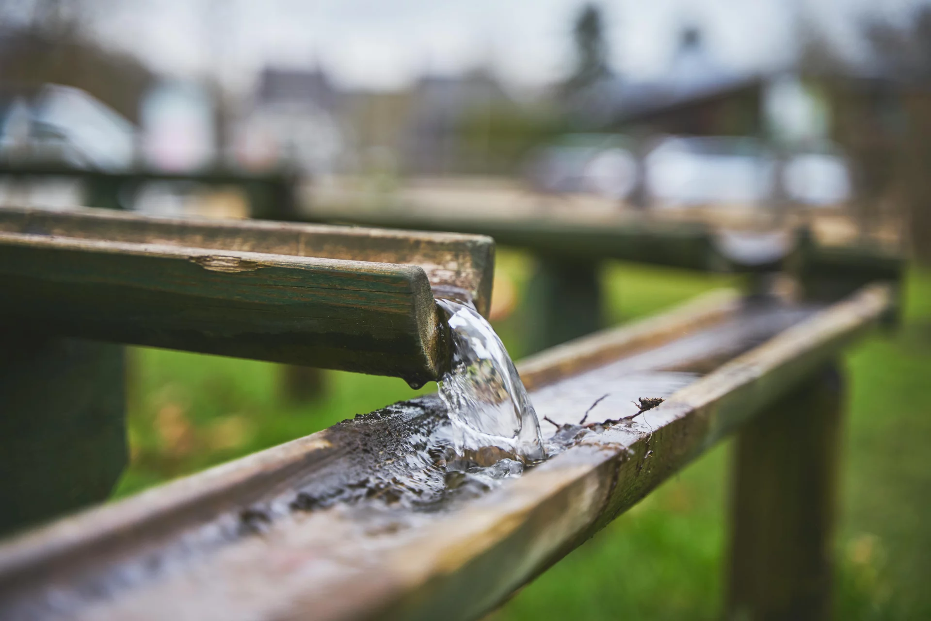 Natural Drainage: Supporting the Excretory System and Regaining Lightness