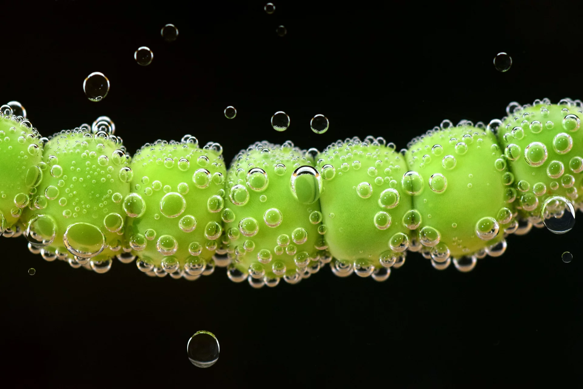 Microbiome balance and mucous membrane health