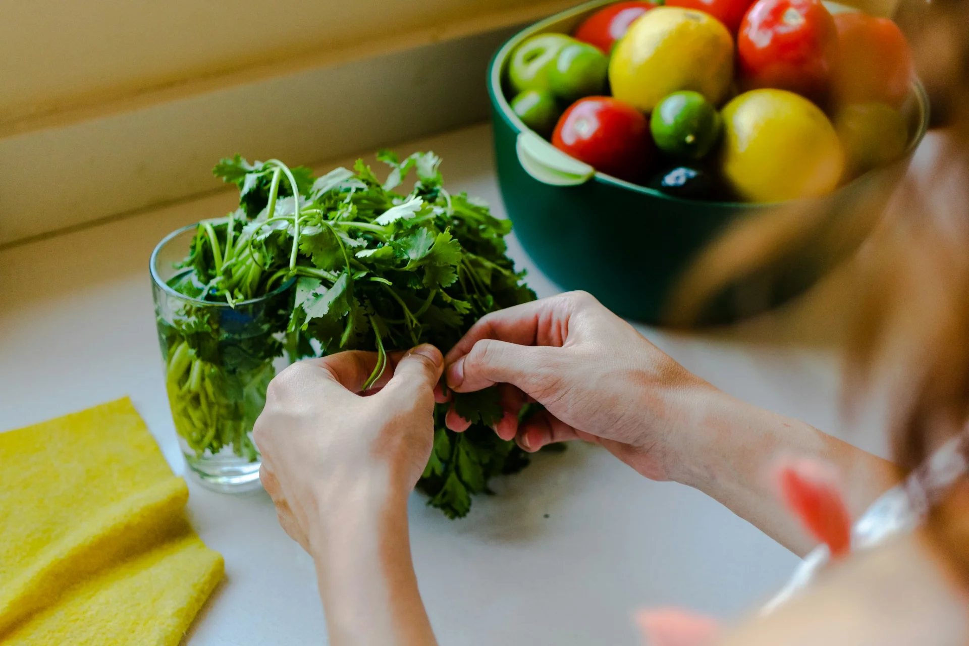 Digestive Support Program: From Deep Clearance to Daily Comfort