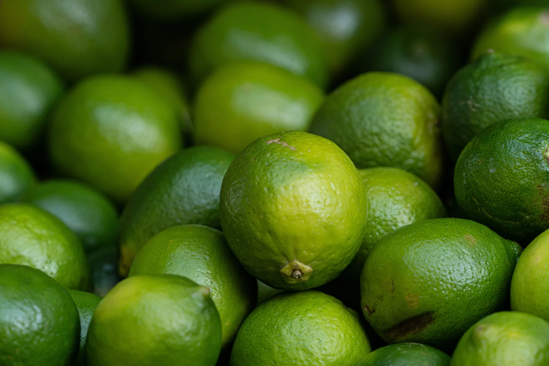 B Vitamins: Energy, Focus, and Nervous System Balance